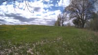 The field cam, May 9, 2024 at 9:12am