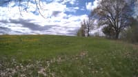 The field cam, May 9, 2024 at 9:14am