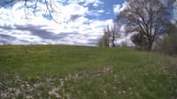 The field cam, May 9, 2024 at 9:14am