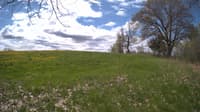 The field cam, May 9, 2024 at 9:29am