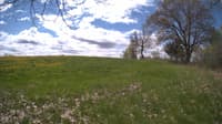 The field cam, May 9, 2024 at 9:35am