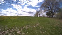 The field cam, May 9, 2024 at 9:36am