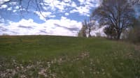 The field cam, May 9, 2024 at 9:38am