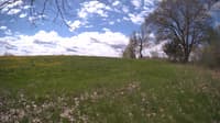 The field cam, May 9, 2024 at 9:40am