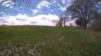 The field cam, May 9, 2024 at 9:40am