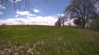 The field cam, May 9, 2024 at 9:58am