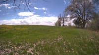 The field cam, May 9, 2024 at 10:02am