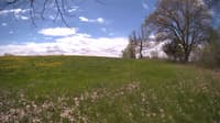 The field cam, May 9, 2024 at 10:03am