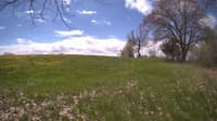 The field cam, May 9, 2024 at 10:06am