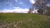 The field cam, May 9, 2024 at 10:07am