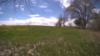 The field cam, May 9, 2024 at 10:08am