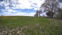 The field cam, May 9, 2024 at 10:35am