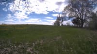 The field cam, May 9, 2024 at 10:40am