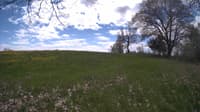 The field cam, May 9, 2024 at 10:41am