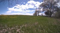 The field cam, May 9, 2024 at 10:47am