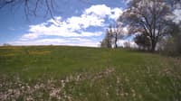 The field cam, May 9, 2024 at 10:49am
