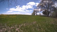The field cam, May 9, 2024 at 10:50am