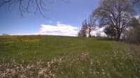 The field cam, May 9, 2024 at 11:14am