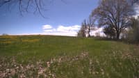 The field cam, May 9, 2024 at 11:20am