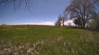 The field cam, May 9, 2024 at 11:37am