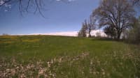 The field cam, May 9, 2024 at 11:41am