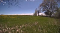The field cam, May 9, 2024 at 11:42am