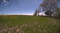 The field cam, May 9, 2024 at 11:45am