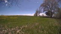 The field cam, May 9, 2024 at 11:46am
