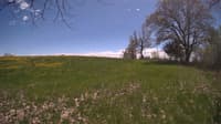 The field cam, May 9, 2024 at 11:46am
