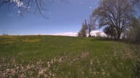 The field cam, May 9, 2024 at 11:48am