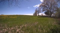 The field cam, May 9, 2024 at 12:08pm