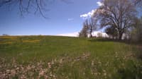 The field cam, May 9, 2024 at 12:09pm