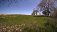 The field cam, May 9, 2024 at 12:47pm
