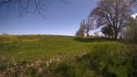 The field cam, May 9, 2024 at 1:15pm