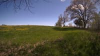 The field cam, May 9, 2024 at 1:20pm