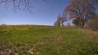 The field cam, May 10, 2024 at 7:36am