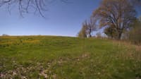 The field cam, May 10, 2024 at 7:39am