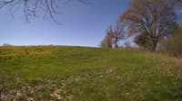 The field cam, May 10, 2024 at 7:44am