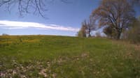 The field cam, May 10, 2024 at 8:12am