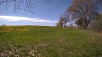 The field cam, May 10, 2024 at 8:13am