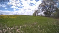 The field cam, May 10, 2024 at 10:40am