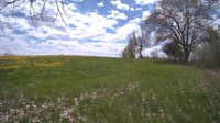 The field cam, May 10, 2024 at 10:53am