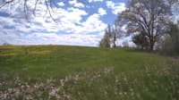 The field cam, May 10, 2024 at 10:54am