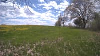 The field cam, May 10, 2024 at 10:57am