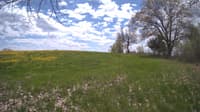 The field cam, May 10, 2024 at 10:58am