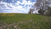 The field cam, May 10, 2024 at 10:59am