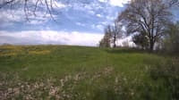 The field cam, May 10, 2024 at 12:36pm