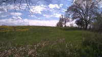 The field cam, May 10, 2024 at 12:41pm
