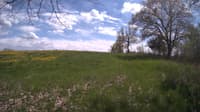 The field cam, May 10, 2024 at 12:42pm