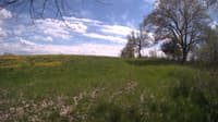 The field cam, May 10, 2024 at 12:45pm
